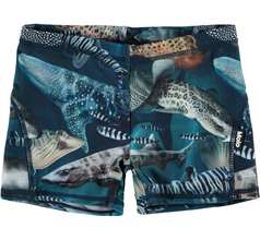 Norton Swimwear